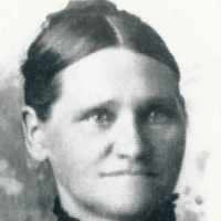 Annie Brighamine Petersen (1858–1921 ) Profile